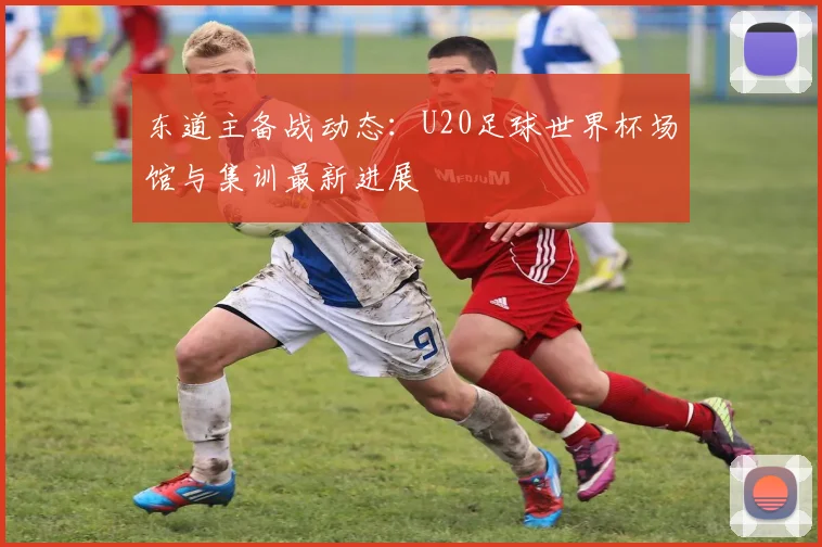 东道主备战动态：U20足球世界杯场馆与集训最新进展